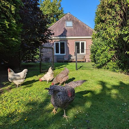 Boutique B&B Villa Van Voss เอทเทน ลัวร์ ภายนอก รูปภาพ