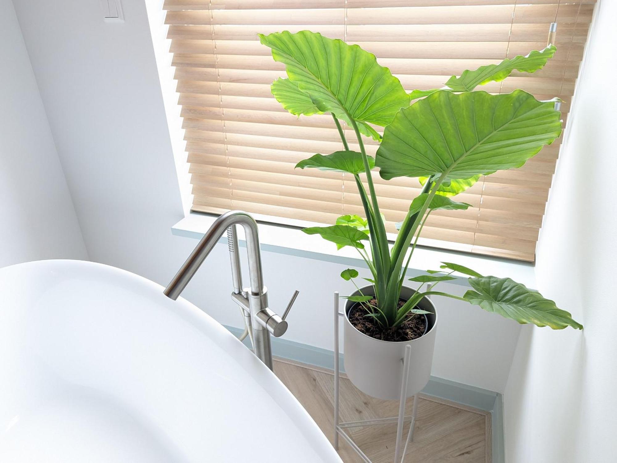 Boutique B&B Villa Van Voss เอทเทน ลัวร์ ภายนอก รูปภาพ