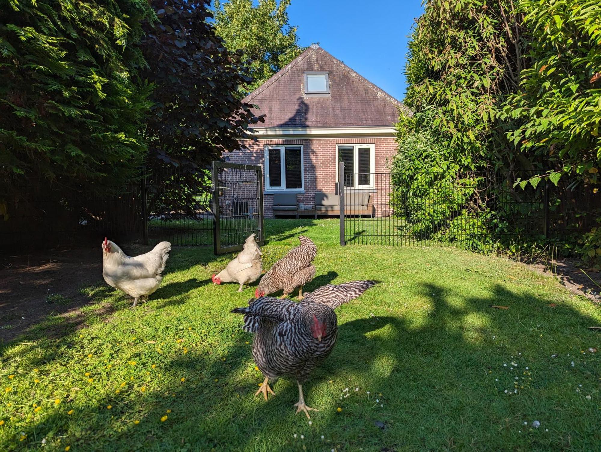 Boutique B&B Villa Van Voss เอทเทน ลัวร์ ภายนอก รูปภาพ